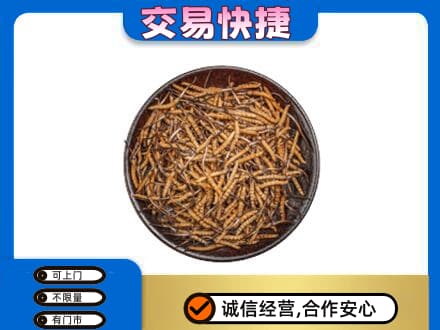 集安市回收散虫草